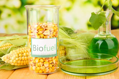Shoreham biofuel availability