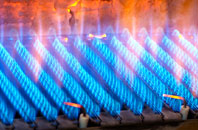 Shoreham gas fired boilers